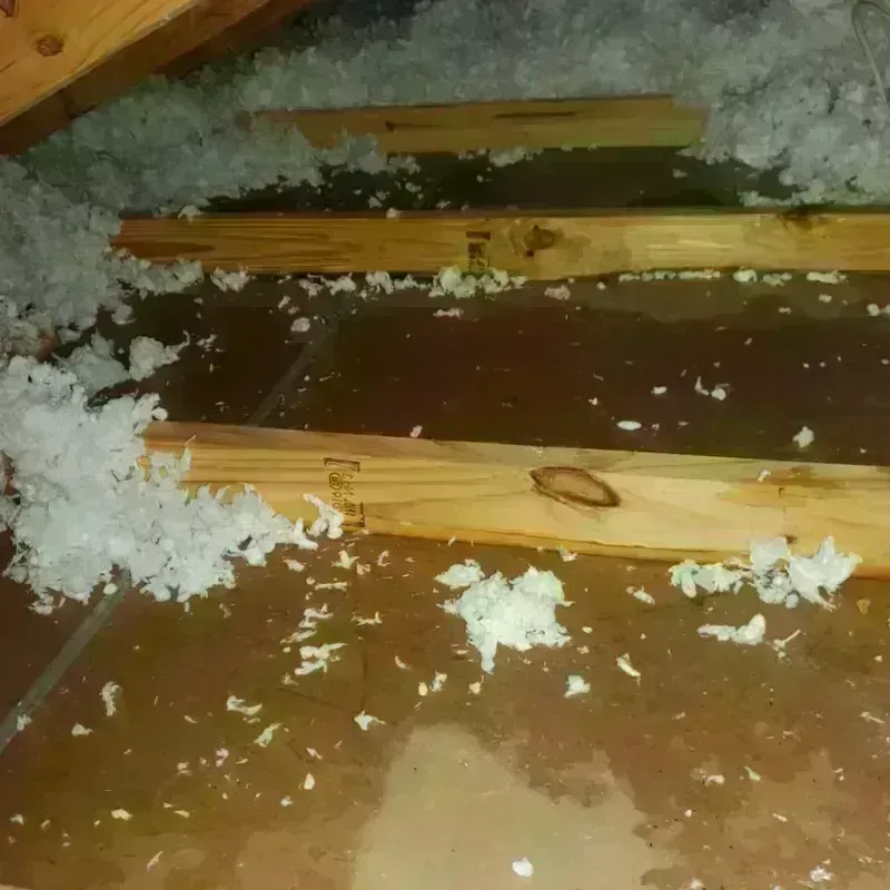 Attic Water Damage in Palmyra, NJ